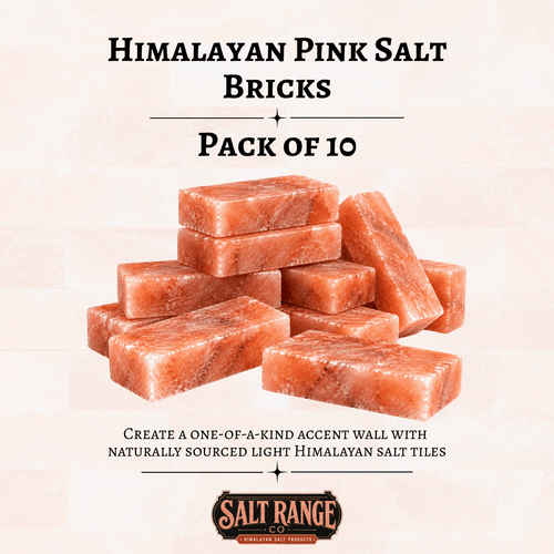 Himalayan Pink Salt Bricks 8x4x2 inch, Pack of 10