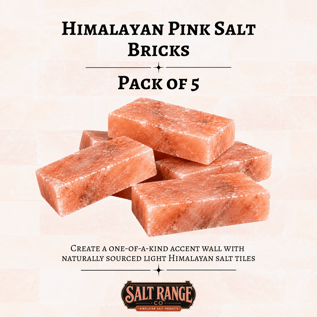 Himalayan Pink Salt Bricks 8x4x2 inch, Pack of 5