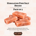 Himalayan Pink Salt Bricks 8x4x2 inch, Pack of 5