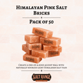 Himalayan Pink Salt Bricks 8x4x2 inch, Pack of 50