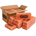 Himalayan Pink Salt Bricks 8x4x2 inch, Pack of 10 – photo 6