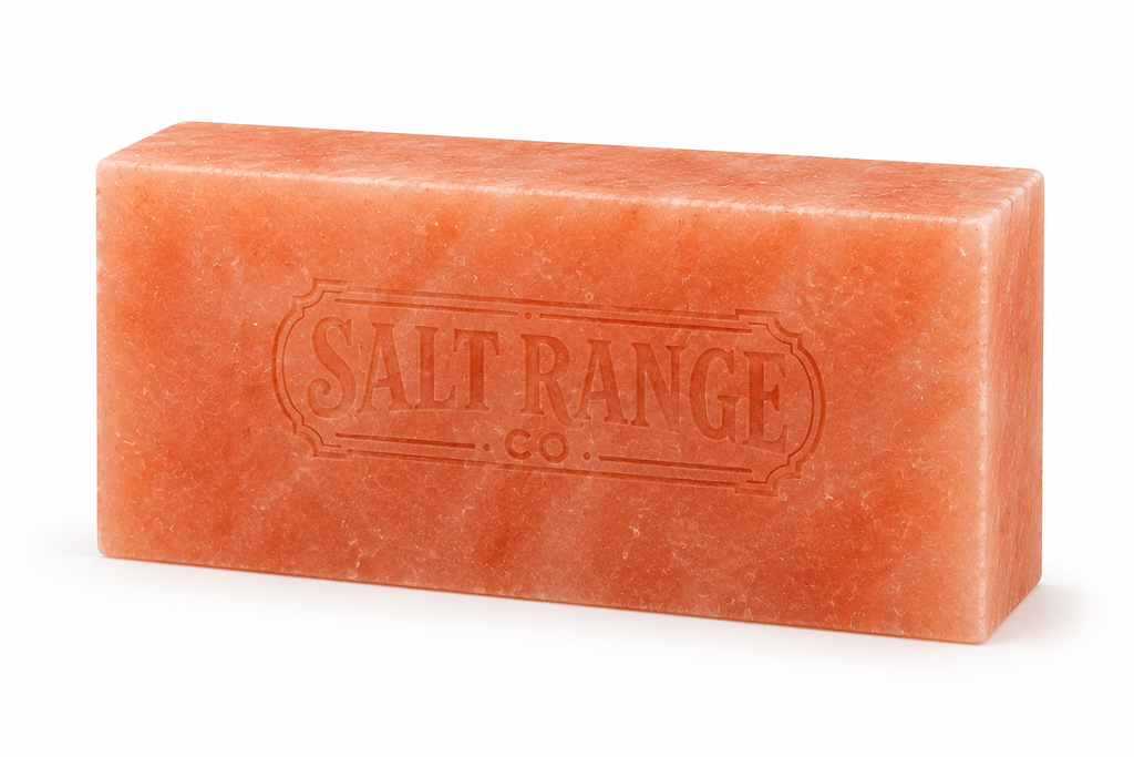 Himalayan Pink Salt Bricks 8x4x2 inch, Pack of 100 – photo 3
