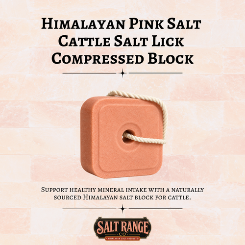 Compressed Himalayan Salt Lick Block for Cattle & Horses, Single Block