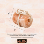 Natural Himalayan Salt Lick Crystal Blocks for Cattle & Livestock, Single Block – photo 2